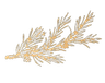 Centuries Mutual Logo