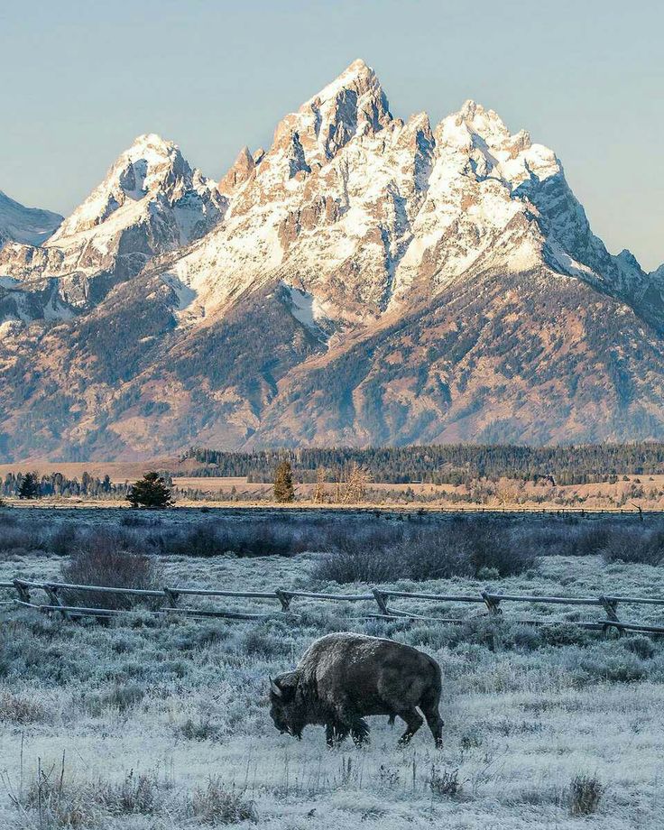 Majestic Mountains